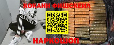 индика Новозыбков