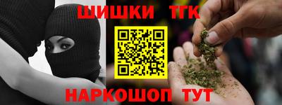 индика Новозыбков