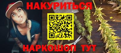ешки Новодвинск