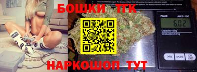 индика Новозыбков