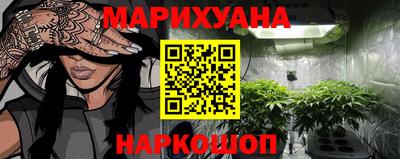 индика Новозыбков