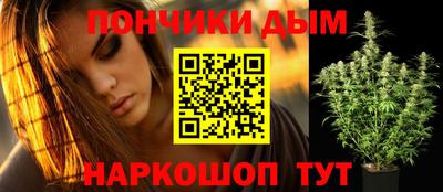 ешки Новодвинск