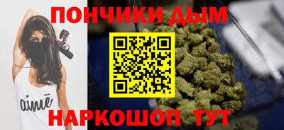 индика Новозыбков