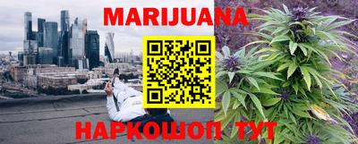 ешки Новодвинск