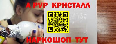 индика Новозыбков