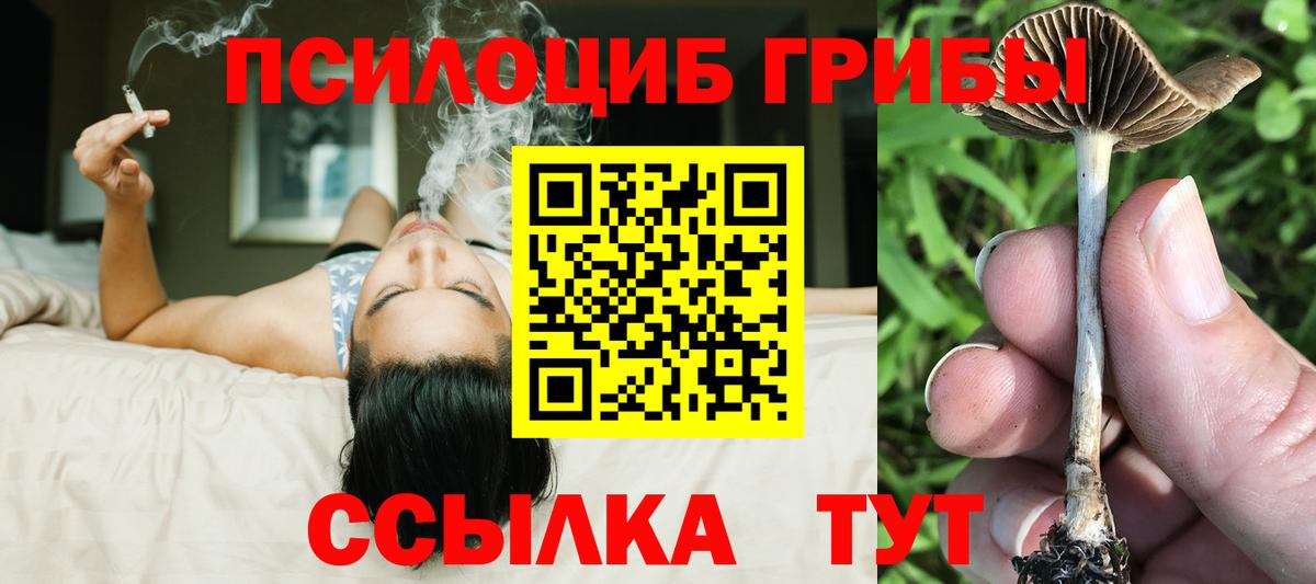 сколько стоит  Псилоцибиновые грибы Psilocybine cubensis  Вход с VPN  Учалы 